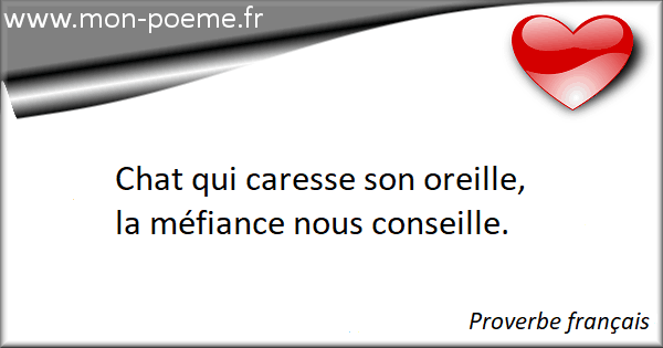 Les proverbes caresse / caresser