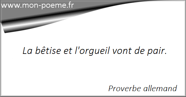 Proverbe Betise 23 Proverbes Sur Betise