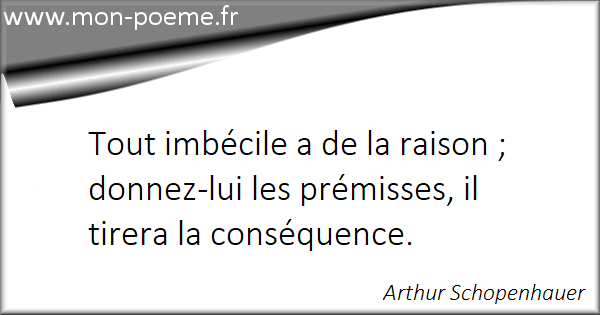 Les Meilleures Citations De Arthur Schopenhauer