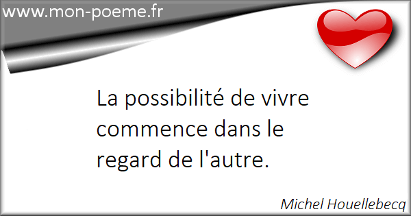 Les Citations Celebres De Michel Houellebecq