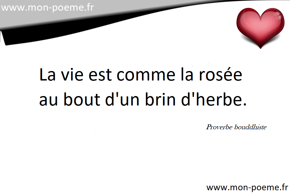 Proverbes Bouddhistes 24 Proverbes Du Bouddhisme