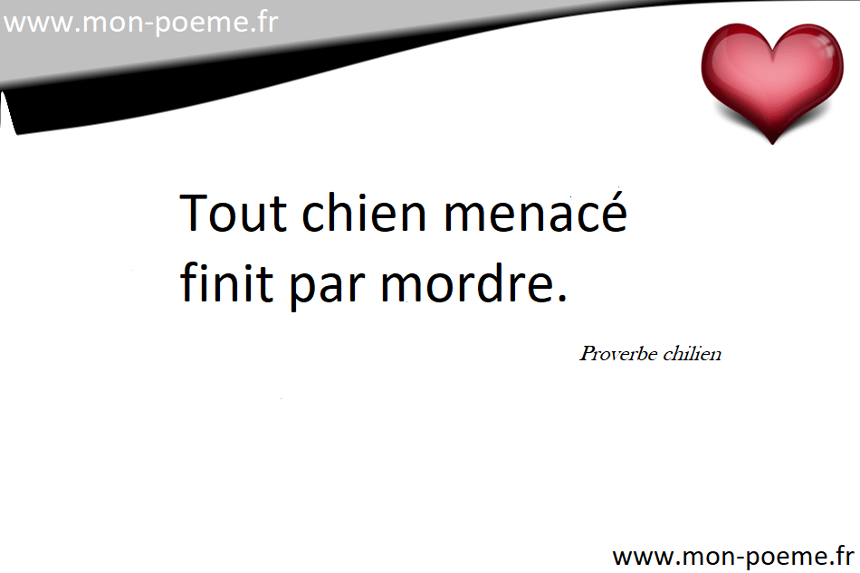 Proverbes Chiliens 12 Proverbes Du Chili