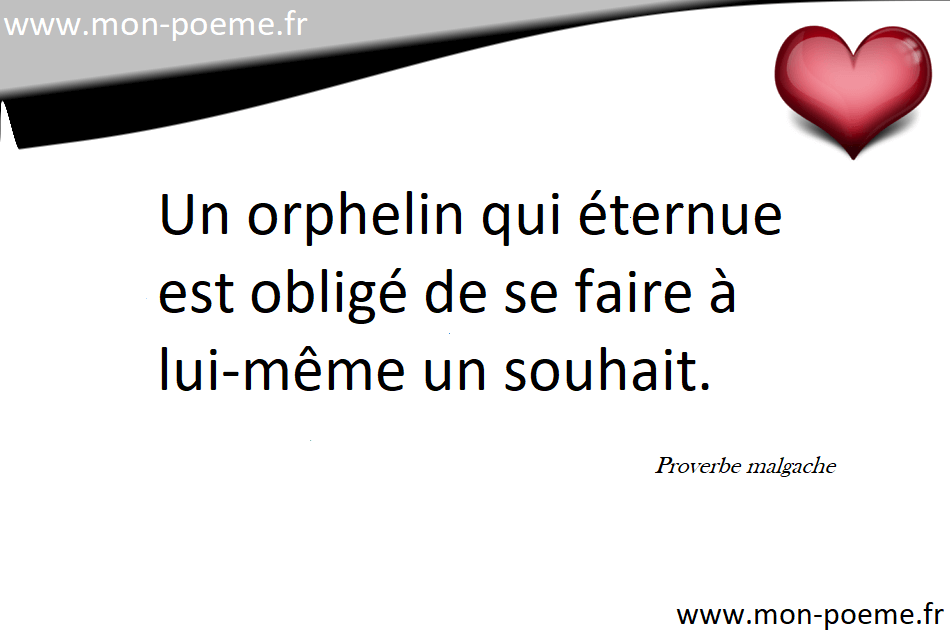 Citation Damour Malgache Best Citations D Amour